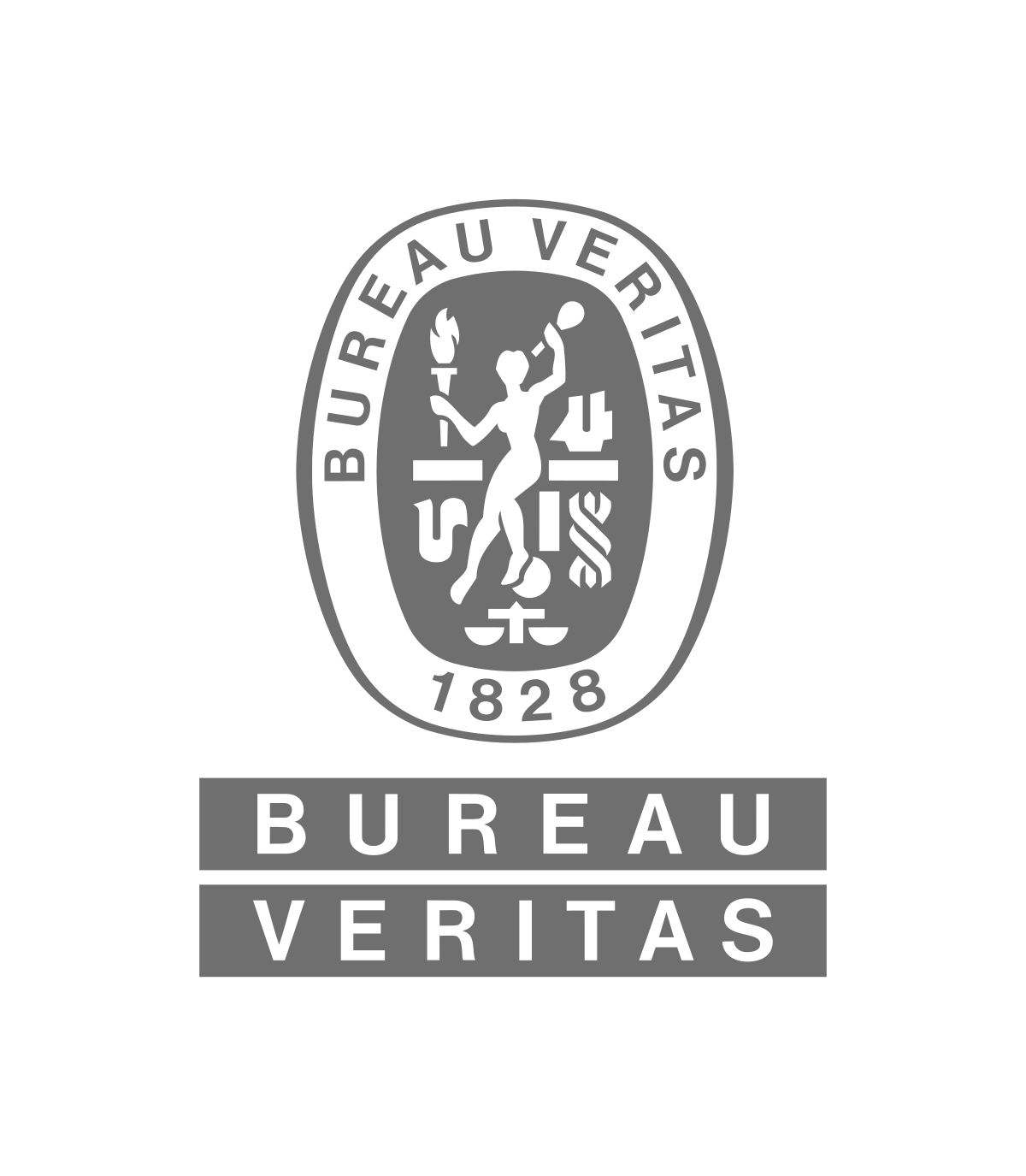 Logo Bureau Veritas