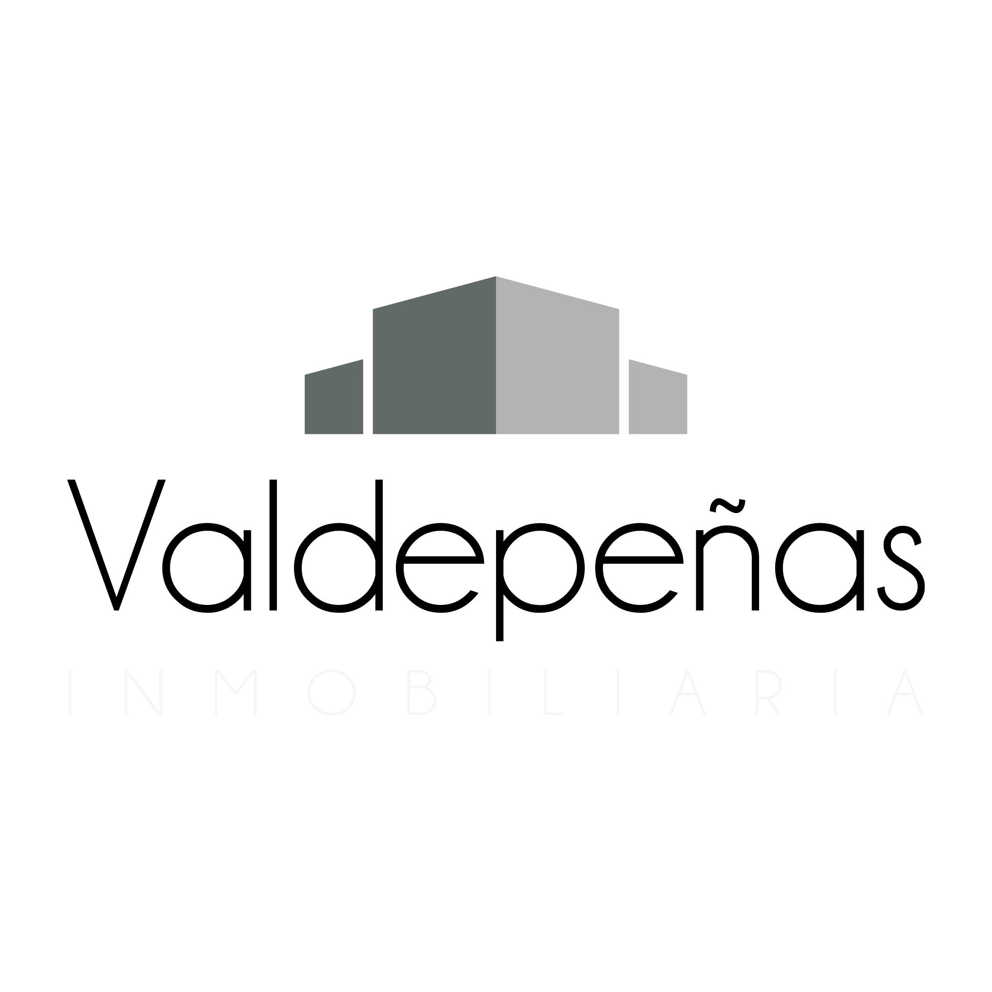 Logo Valdepeñas